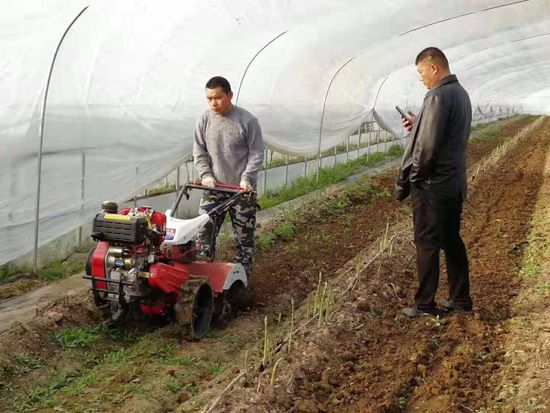 來(lái)自河南、山東、新疆的客人在種植園考察