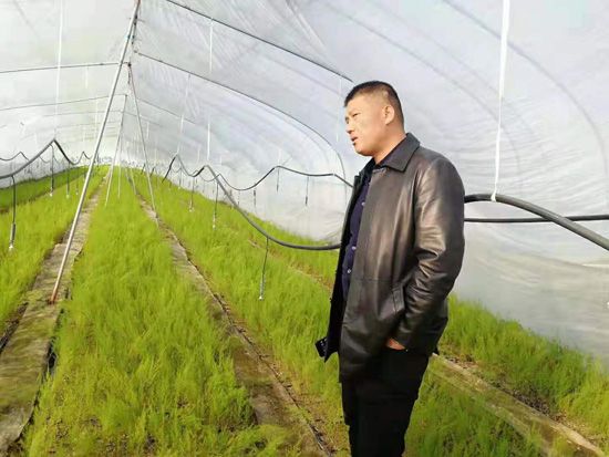 來(lái)自河南、山東、新疆的客人在種植園考察