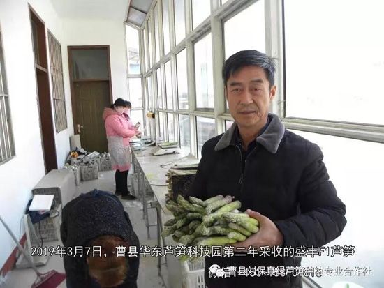 春天，常食蘆筍很保健